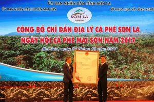Công bố chỉ dẫn địa lý sản phẩm cà phê Sơn La