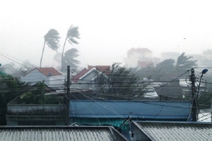 Bão Damrey: Cảnh báo lũ quét, sạt lở đất từ Quảng Nam - Khánh Hòa