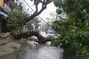 Phóng sự ảnh: Một số hình ảnh thành phố Nha Trang ngay sau cơn bão số 12