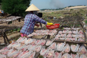 Bà Rịa-Vũng Tàu: Phát hiện chất cấm Trichlorfon có thể gây chết người trong cá