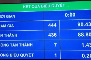 Quốc hội thông qua Luật sửa đổi, bổ sung một số điều của Luật Các tổ chức tín dụng
