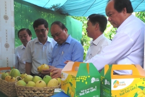 Sẽ cơ cấu lại ngành nông nghiệp giai đoạn 2017 - 2020