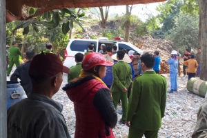 Phó Thủ tướng yêu cầu xử lý nghiêm các vụ bạo hành, sát hại trẻ em