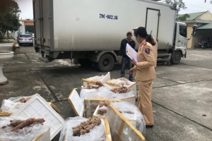 Thanh Hóa: Gần 3 tạ thực phẩm ôi thiu, không rõ nguồn gốc bị bắt giữ