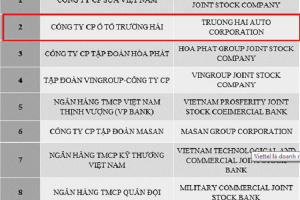 THACO - Công ty tư nhân có lợi nhuận tốt thứ 2 Việt Nam 2017