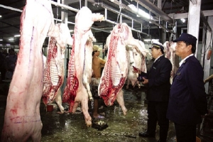 Kiểm soát hoạt động giết mổ gia súc, gia cầm: Nhu cầu tăng - nỗi lo tăng