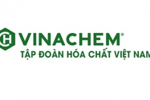 Tái cơ cấu Tập đoàn Hóa chất Việt Nam giai đoạn 2017-2020