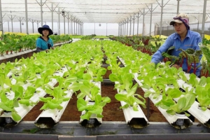 Ngành nông nghiệp: Tháo gỡ 5 điểm nghẽn