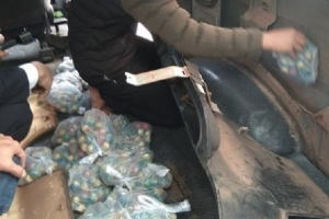 Quảng Trị: Bắt giữ 117,8 kg pháo nhập cảnh từ Lào về Việt Nam