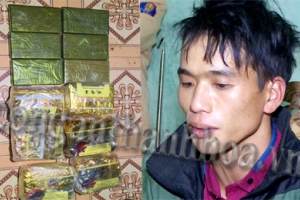 Thanh Hóa: Triệt phá đường dây vận chuyển ma túy “khủng”