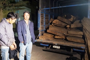 Lâm Đồng: Bắt giữ xe tải chở gỗ lậu