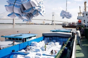 Trong số 346.000 tấn gạo được Indonesia nhập khẩu thì Việt Nam trúng thầu khối lượng lớn nhất