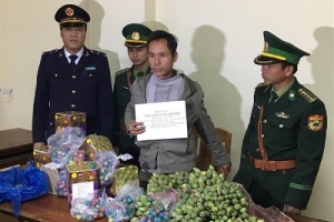 Hà Tĩnh: Bắt quả tang đối tượng vận chuyển pháo nổ và quả thuốc phiện