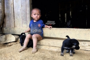 Huyện nghèo 30A “xung phong” bắn pháo hoa dịp tết