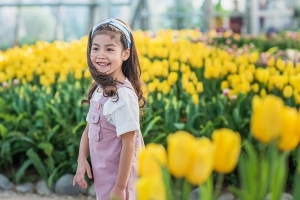 Ra mắt lễ hội Tulip lớn nhất Việt Nam Vinpearl Nha Trang