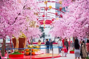 Ngỡ ngàng thấy Tết đã bên thềm cửa