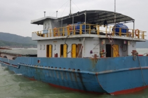 Bình Định: Tạm giữ tàu vận chuyển 1.900 tấn than lậu