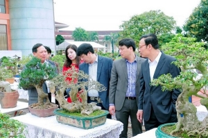 Chiêm ngưỡng những tác phẩm độc tại Hội chợ triển lãm tỉnh Bắc Ninh 2018