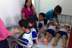 Đồng Nai: Tạm dừng đề án sữa học đường sau vụ 73 học sinh bị ngộ độc