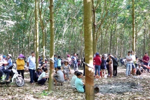 Bình Phước: Bắt giữ nghi can sát hại bé gái 4 tuổi