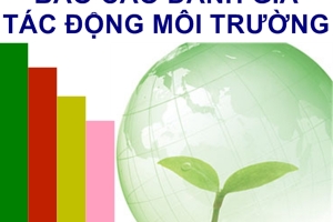 Quy định thành lập và hoạt động của hội đồng định giá tài sản