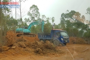 Xã Thanh Đình (Phú Thọ): Đất rừng ngang nhiên bị “xẻ thịt” không phép