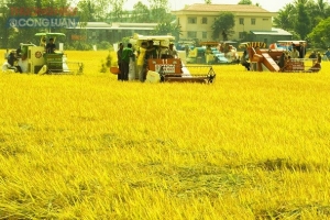 Chủ động, sáng tạo, quyết liệt trong thực hiện các chương trình mục tiêu quốc gia