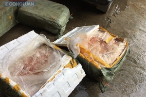 Bắt giữ 400kg nầm lợn nhập lậu