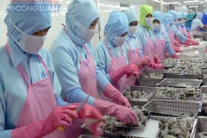 Việt Nam có thể vượt Mỹ - trở thành thị trường XK lớn thứ 2 của Hàn Quốc