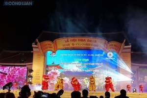 Mai Vàng Yên Tử “đọ sắc” bên Hoa Anh Đào Nhật Bản