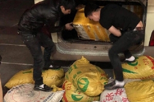 Quảng Ninh: Thu giữ 600 kg sò gạo, 70 kg tu hài nguồn gốc Trung Quốc nhập lậu