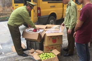 Đội QLTT số 12 (Quảng Ninh): Tịch thu 500kg củ quả không rõ nguồn gốc