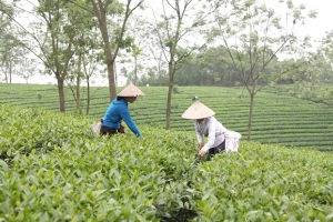 Những điểm sáng trong quý 1