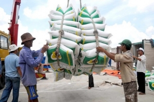 Hỗ trợ gạo cho tỉnh Điện Biên và Hòa Bình
