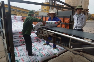 Sẽ hoàn thành việc thanh tra Đạm Hà Bắc trong quý II