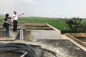 Hải Phòng: Số phận các nhà máy nước mini rồi sẽ về đâu nếu không được nâng cấp?