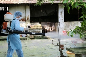 Cà Mau ghi nhận ca tử vong đầu tiên do bệnh sốt xuất huyết