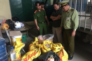 Chi cục QLTT Nghệ An: Tiêu hủy 180kg thịt, chân gà không rõ nguồn gốc
