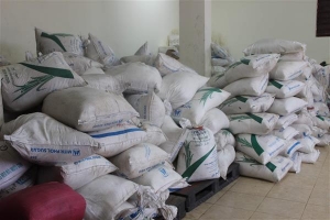 An Giang: Phát hiện số hàng lậu tại cửa khẩu quốc tế