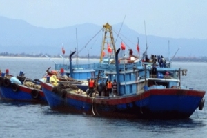 Quảng Bình: xử phạt gần 50 triệu đồng hai tàu giã cào tận diệt hải sản