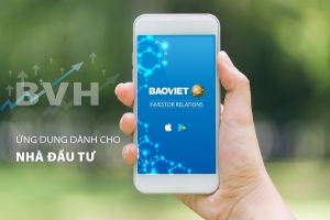 Tập đoàn Bảo Việt (BVH): Doanh nghiệp niêm yết uy tín trong ngành tài chính - bảo hiểm