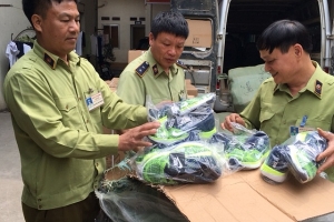 Thu giữ lô hàng giày thể thao giả mạo nhãn hiệu