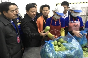 Hải Phòng: Thành lập ba đoàn kiểm tra liên ngành về an toàn thực phẩm