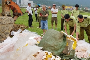 Tiêu hủy 5.000 kg nầm lợn không rõ ngồn gốc