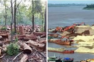 Phó Thủ tướng chấn chỉnh tình trạng phá rừng, khai thác cát, sỏi trái phép