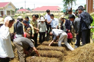 Vĩnh Phúc: Dự kiến đào tạo nghề cho 3.291 lao động nông thôn trong năm 2018
