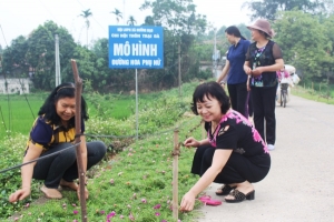 Huyện Tam Dương (Vĩnh Phúc): Nhân rộng những con đường hoa nông thôn mới