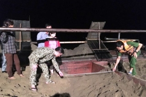 Nghệ An: Bắt 6 thuyền hút cát trái phép trên Sông Lam