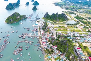 Bộ trưởng Bộ Kế hoạch và đầu tư: Thể lệ, luật chơi tại đặc khu sẽ do Việt Nam chủ động