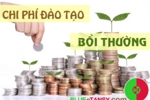 Một chuyên viên phải đền bù 214 triệu chi phí đào tạo vì tự ý nghỉ việc
